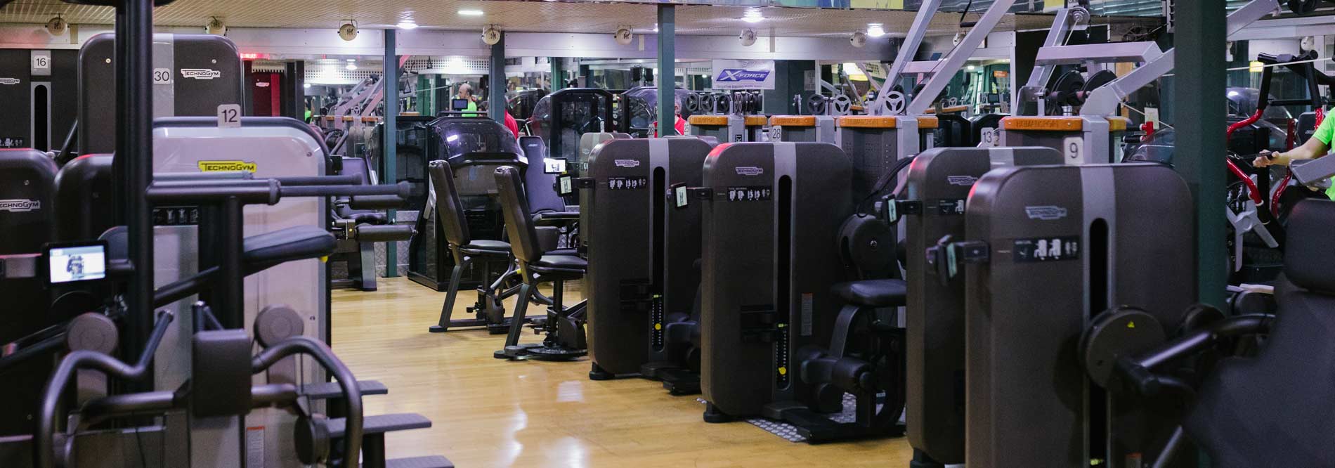 Gimnasio Gimnasio